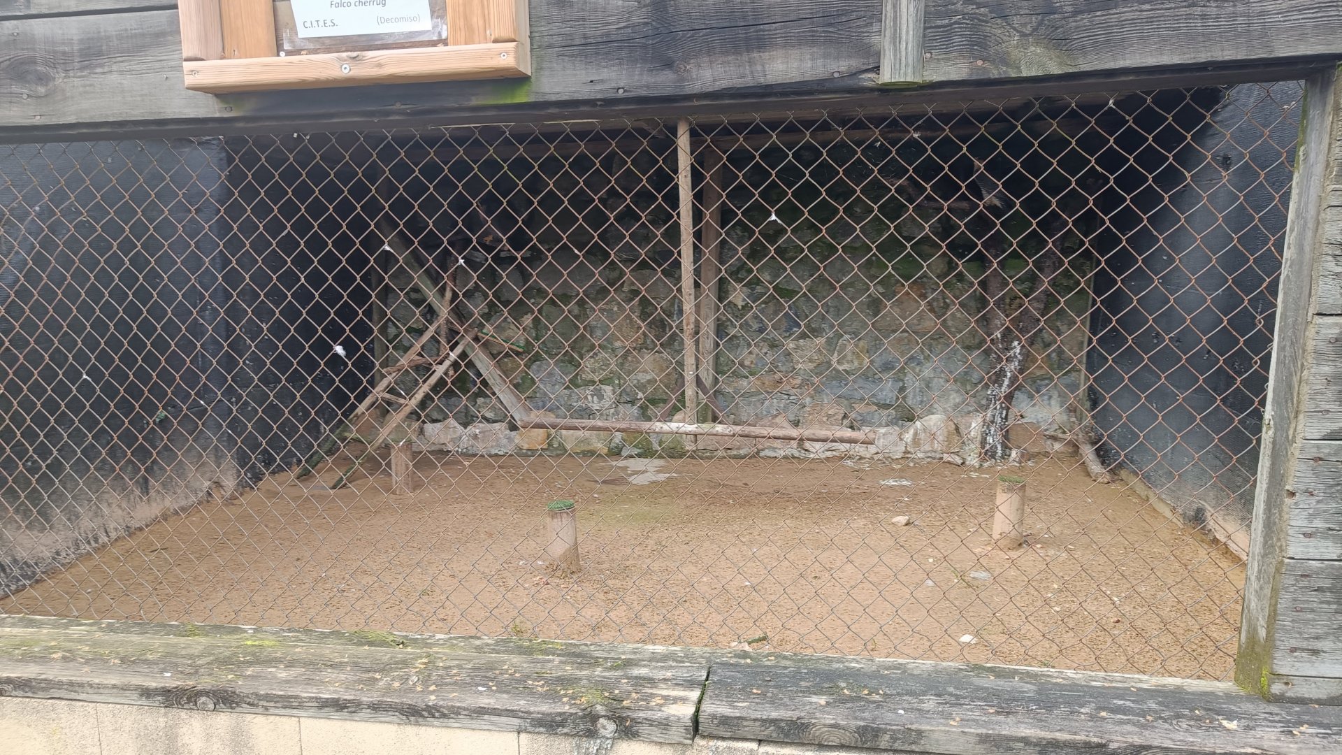 Karpín Fauna - Saker falcon enclosure