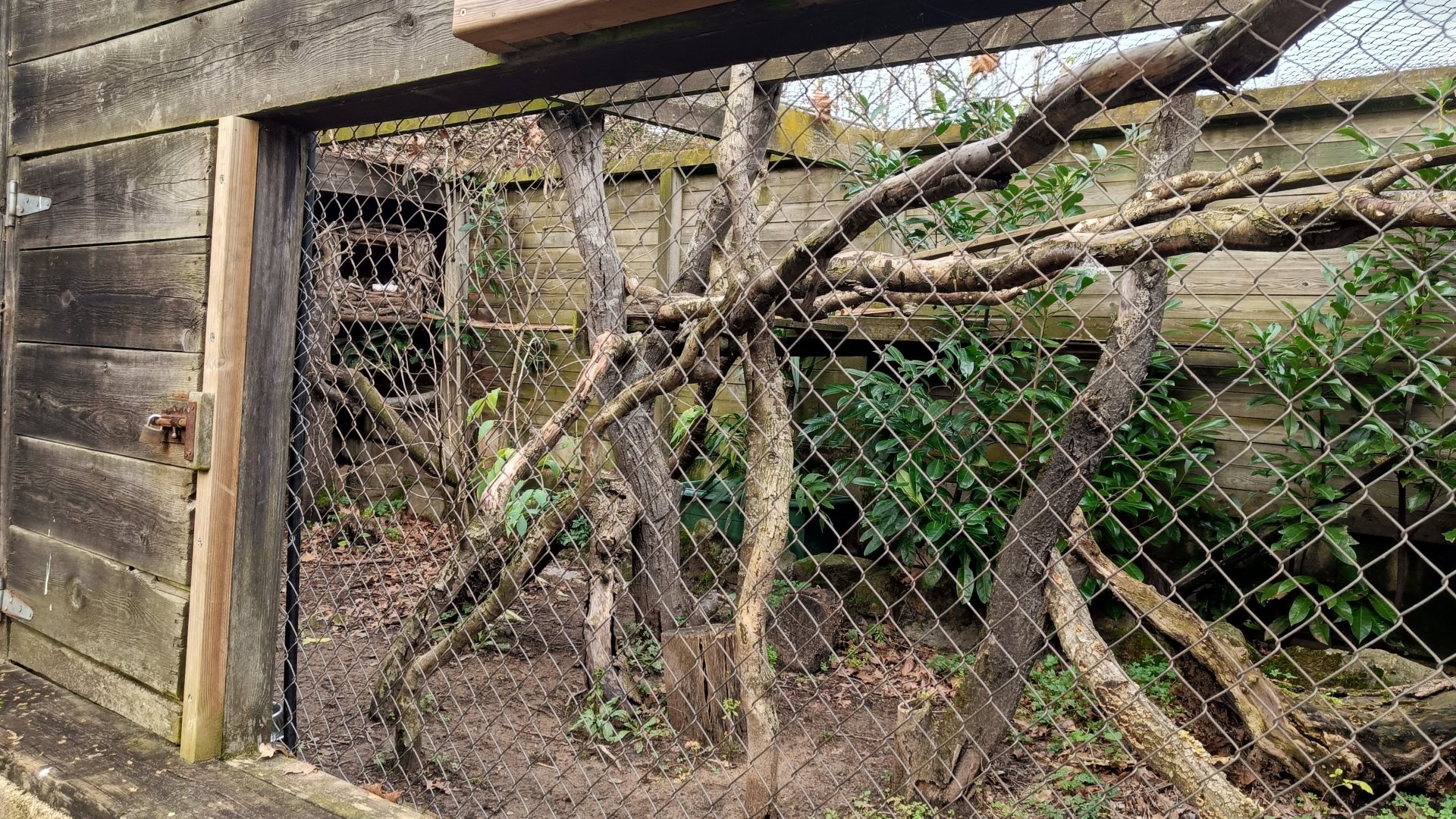 Karpín Fauna - Savannah cat enclosure