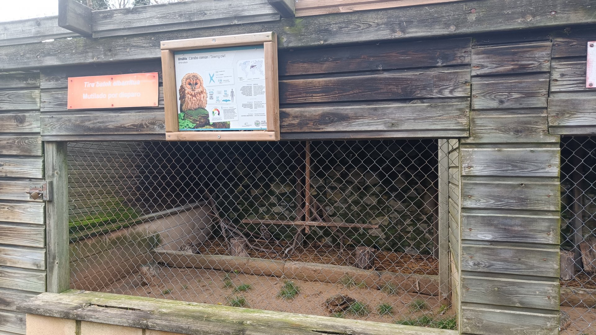 Karpín Fauna - Tawny owl enclosure