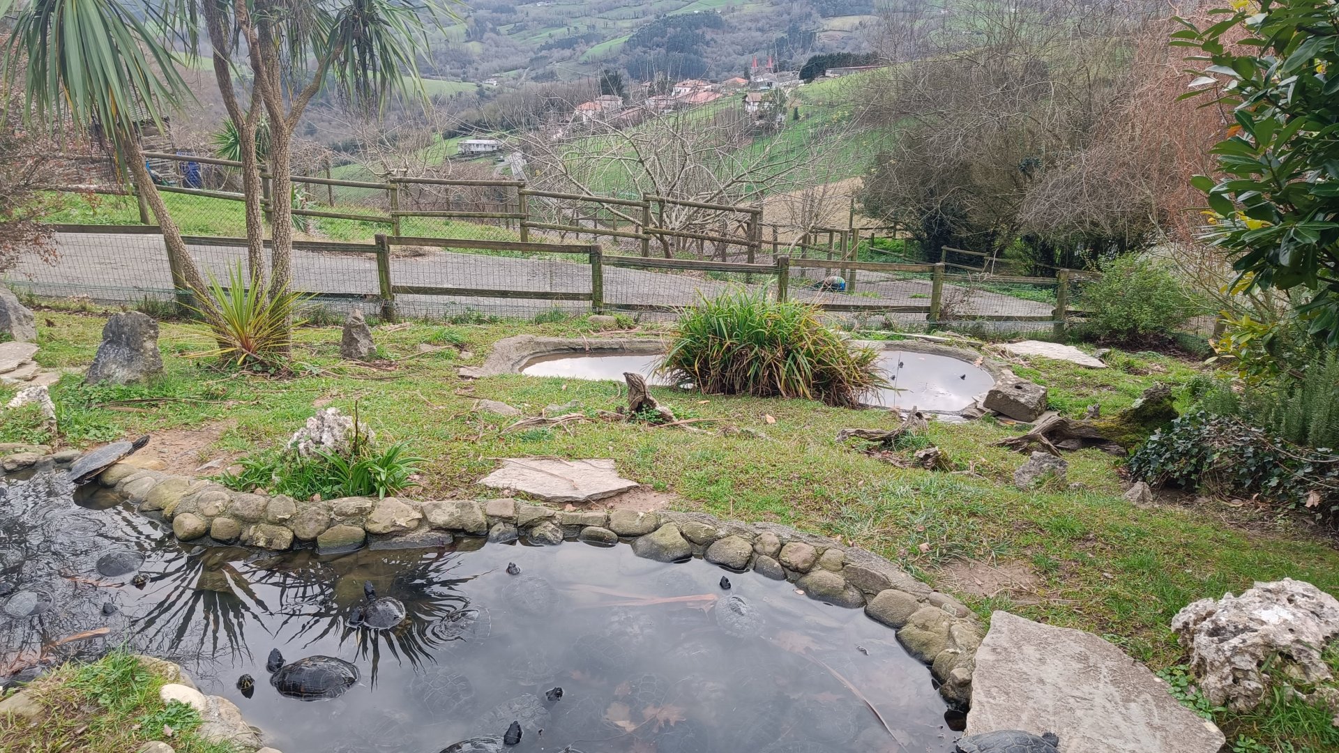 Karpín Fauna - Turtle enclosure