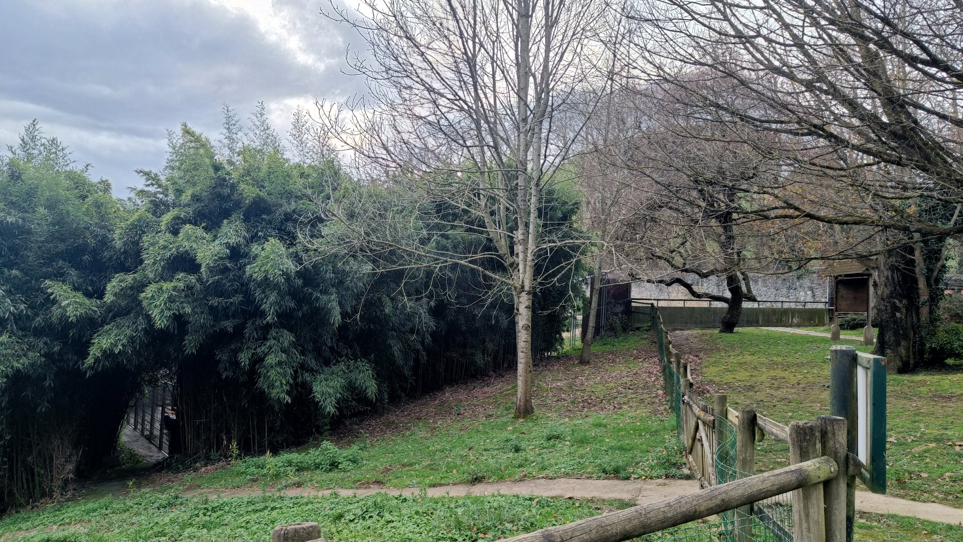 Karpín Fauna - Viewing for brown bear enclosure