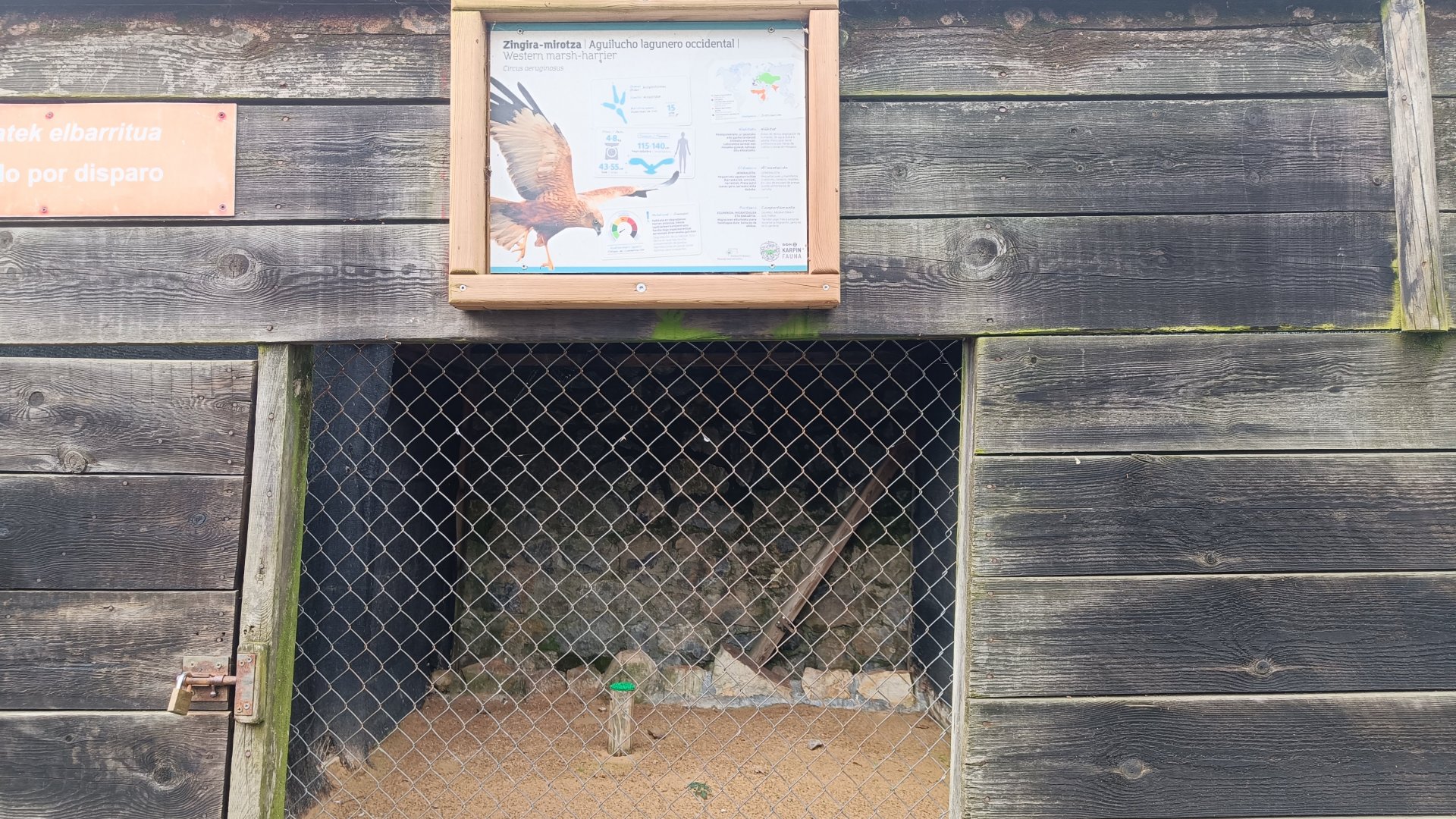Karpín Fauna - Western marsh harrier enclosure