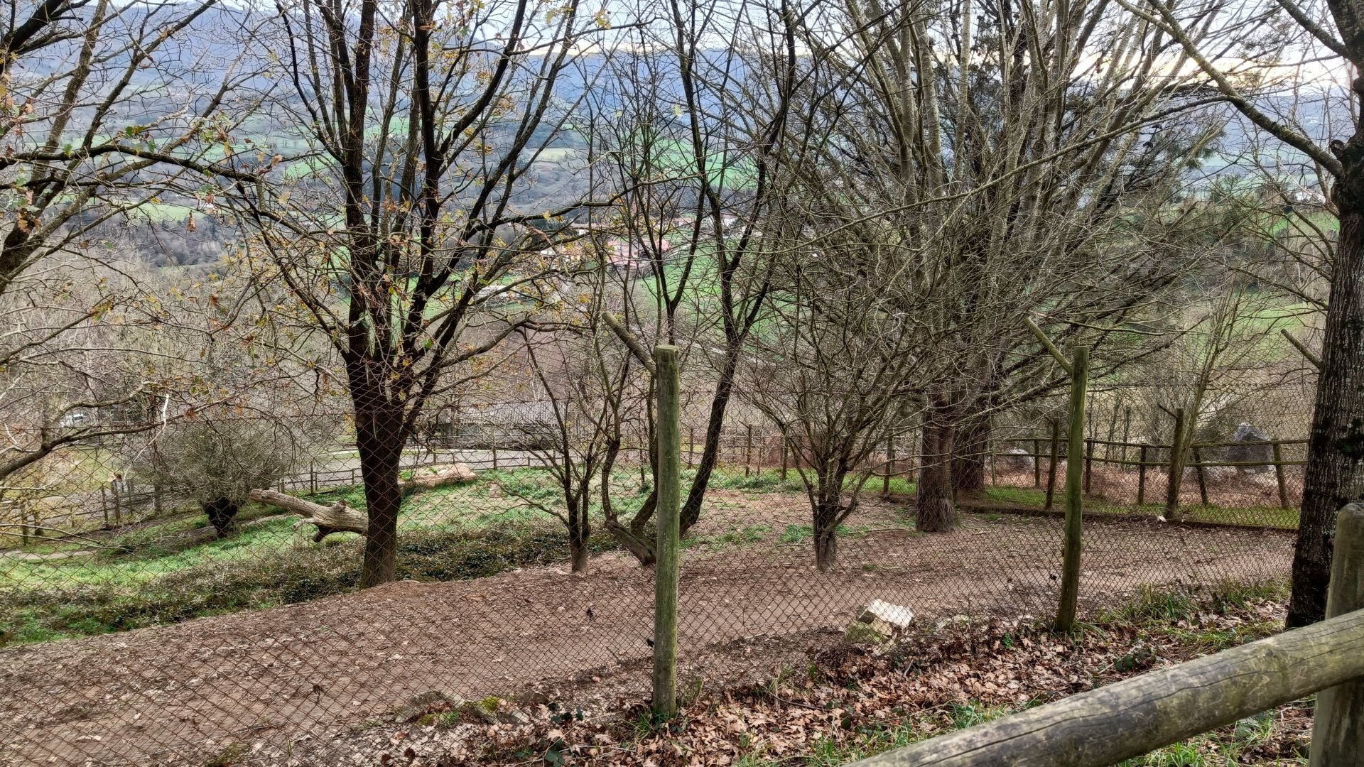 Karpín Fauna - Wolf enclosure