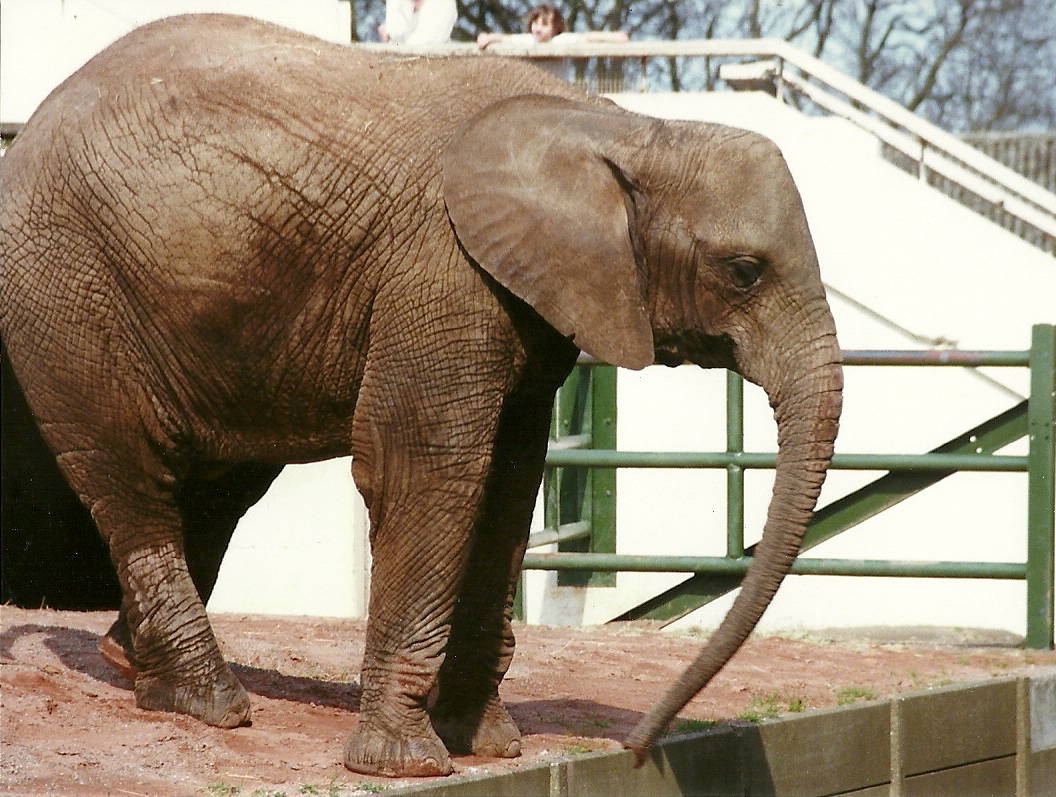 Kasama 20th April 1996