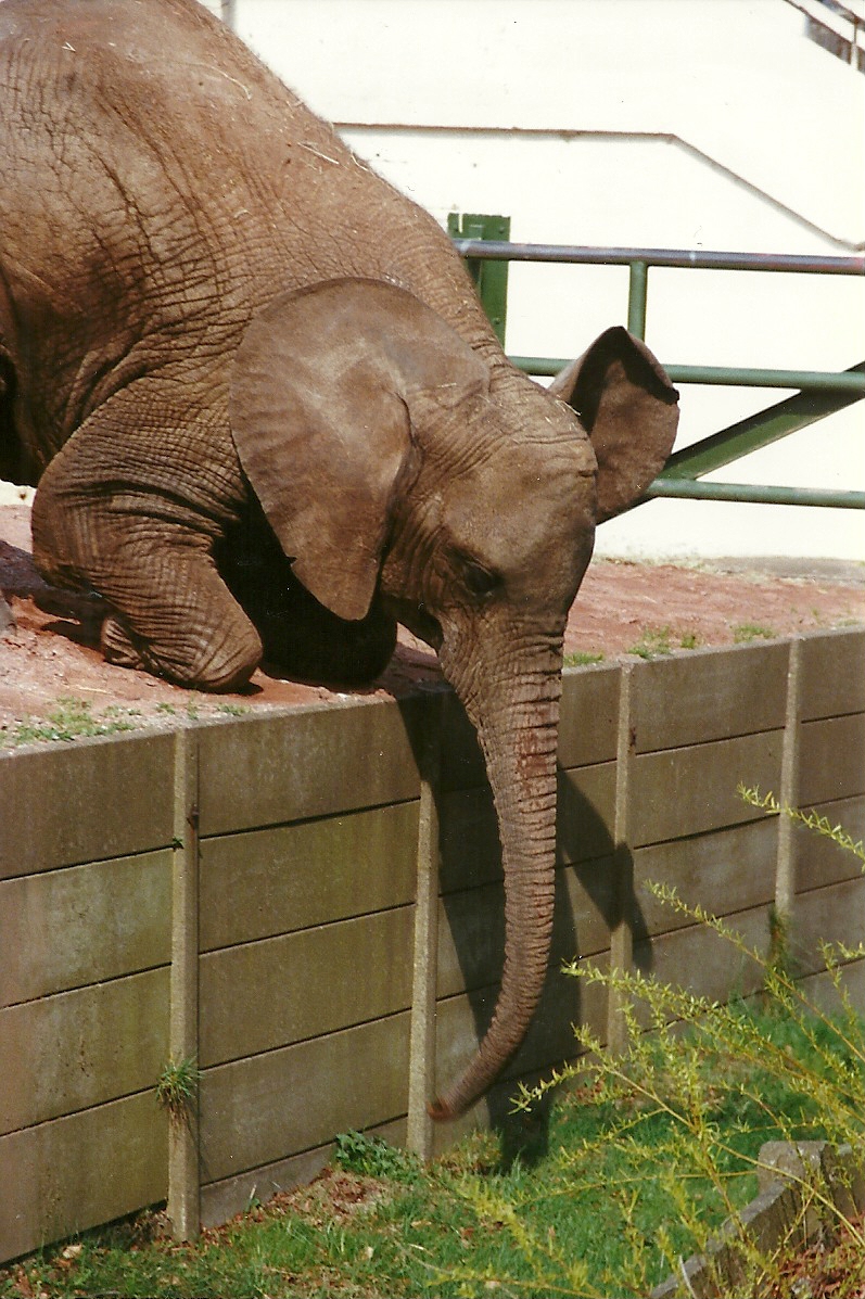 Kasama 20th April 1996