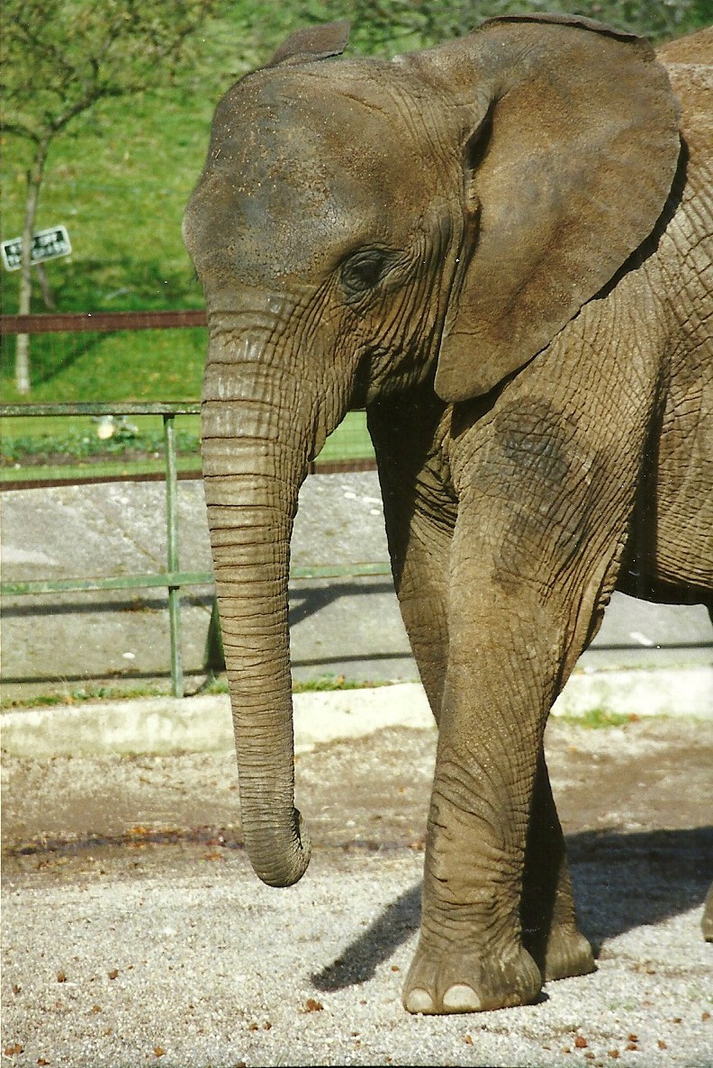 Kasama 28th October 1995