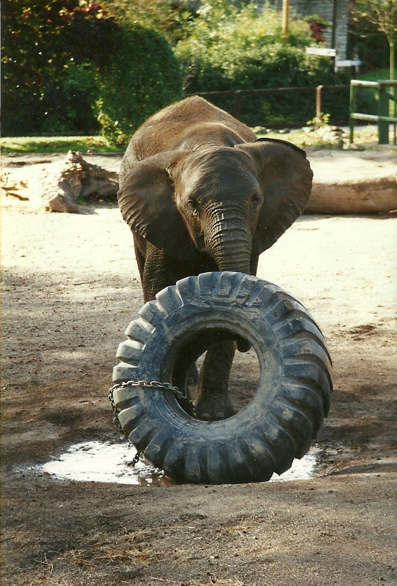 Kasama 28th October 1995