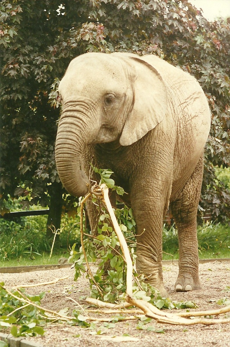 Kasama 4th June 1994