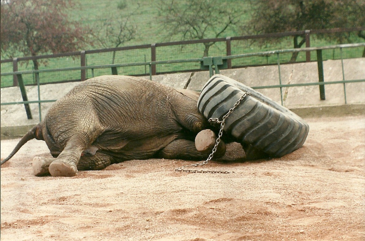 Kasama 5th April 1997