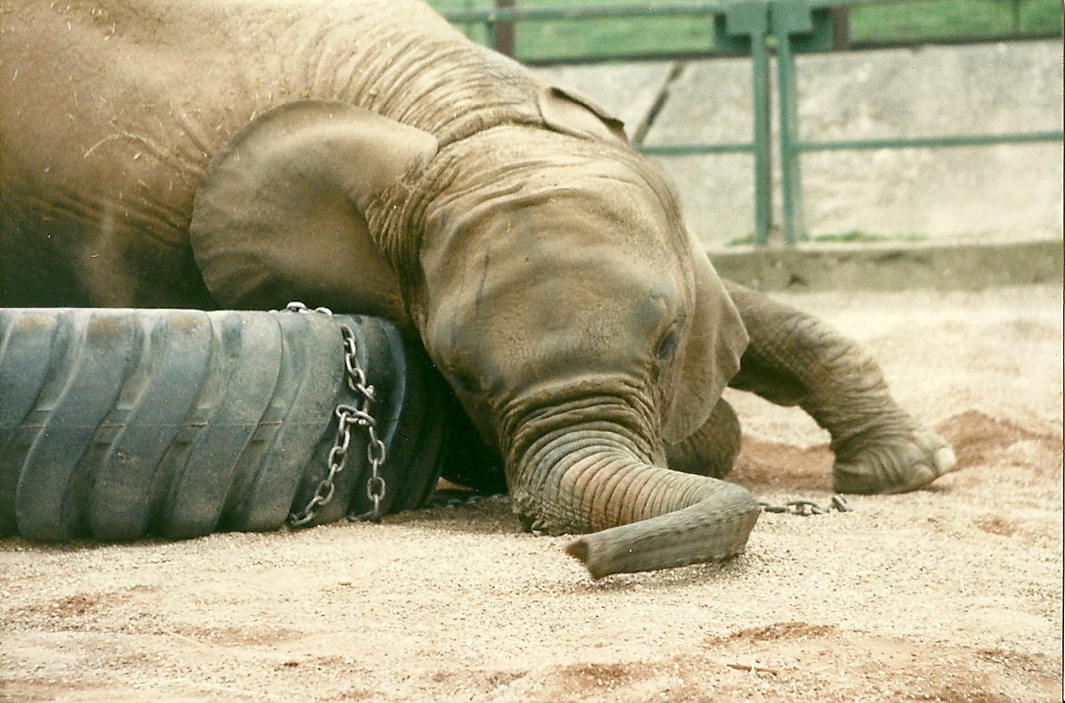 Kasama 5th April 1997