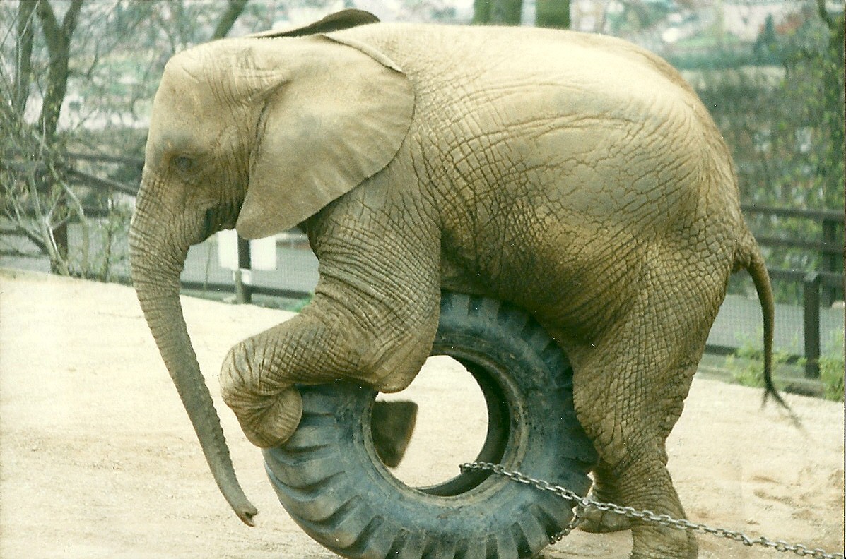 Kasama 5th April 1997