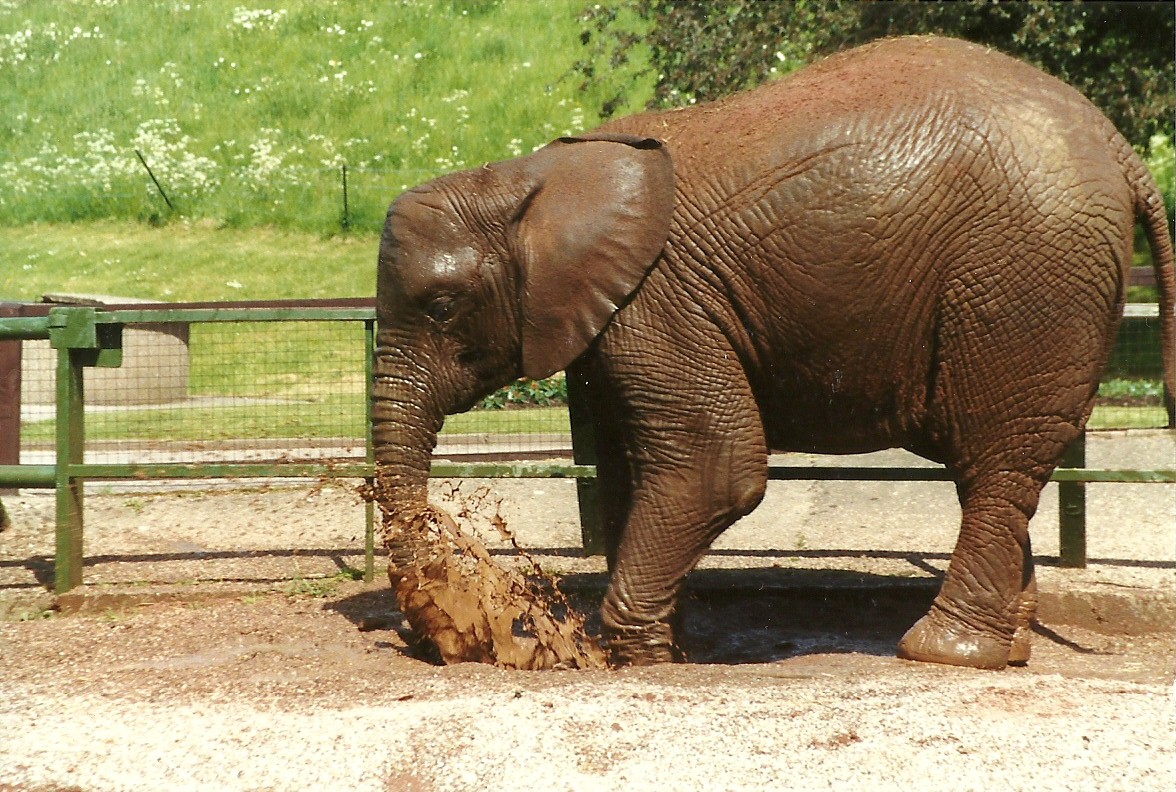 Kasama 8th June 1996