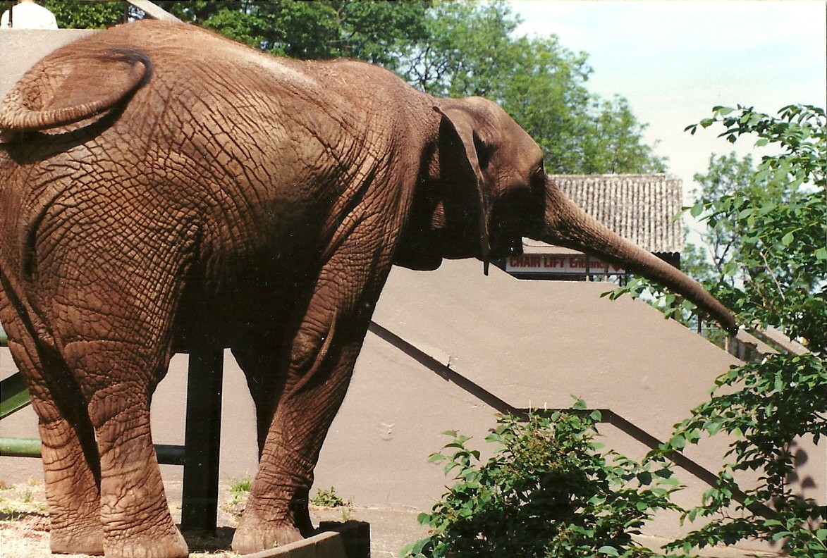 Kasama 8th June 1996