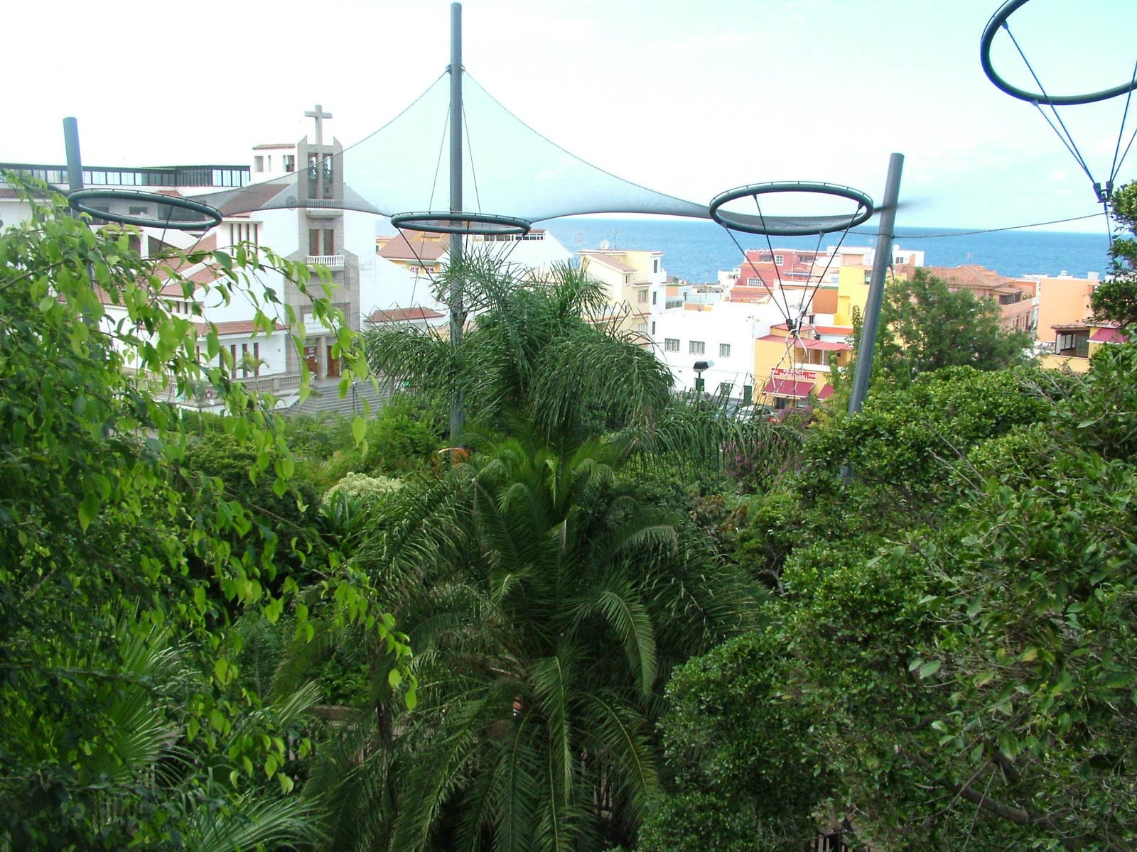 Katandra Treetops at Loro Parque, 08/11/10