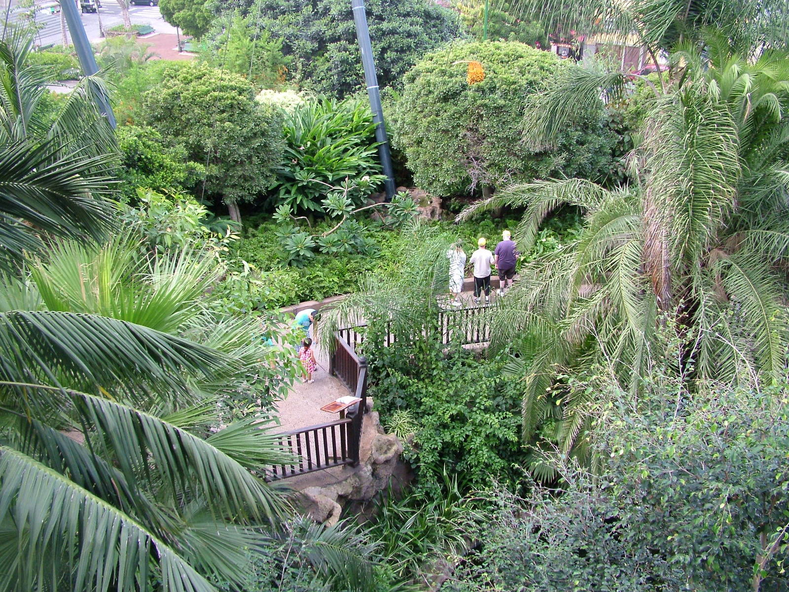 Katandra Treetops at Loro Parque, 08/11/10