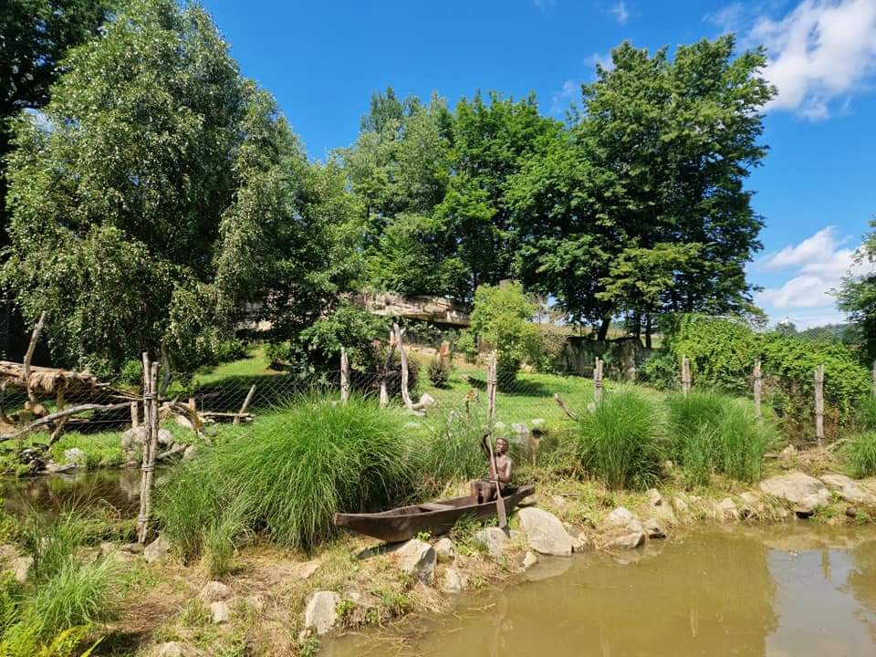 Katanga Lion exhibit
