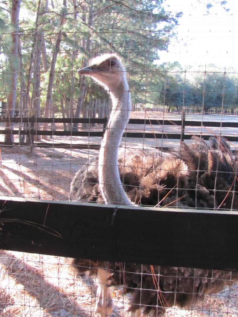 Katherine 1 November 2010