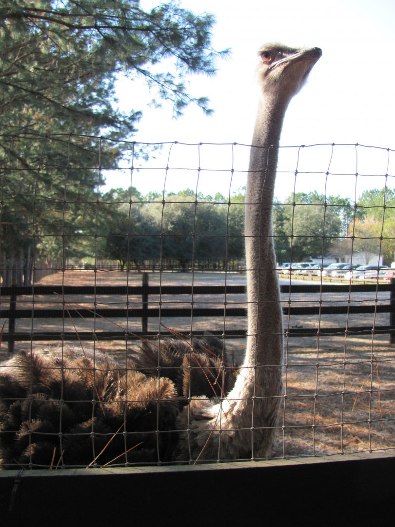 Katherine 2 November 2010