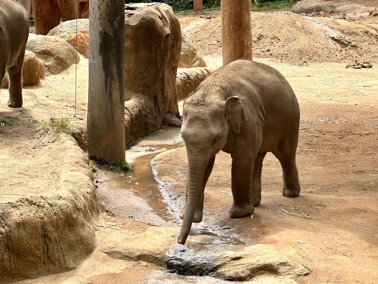 Kati (10 months old)