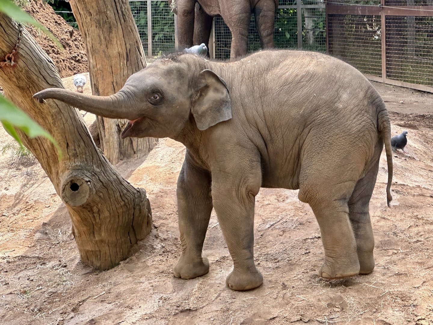 Kati (10 months old)