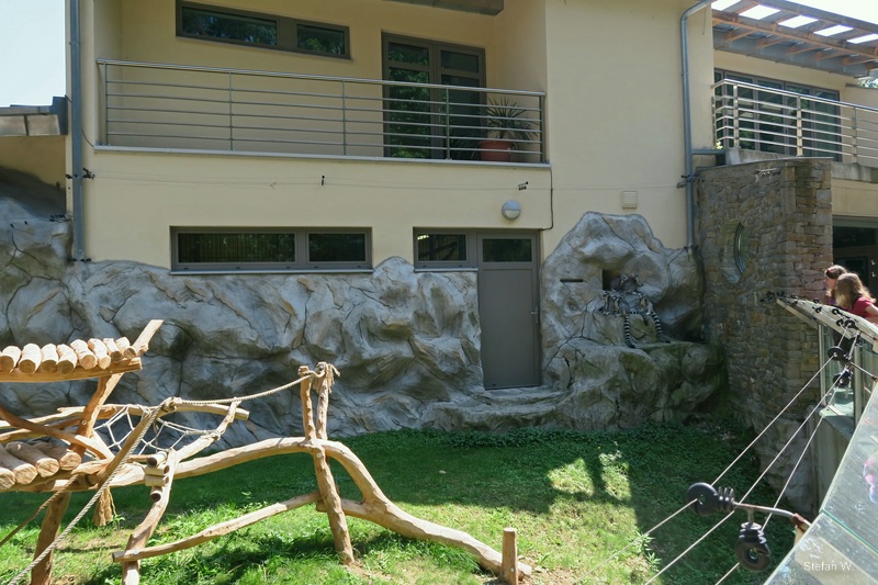 Katta enclosure at the entrance