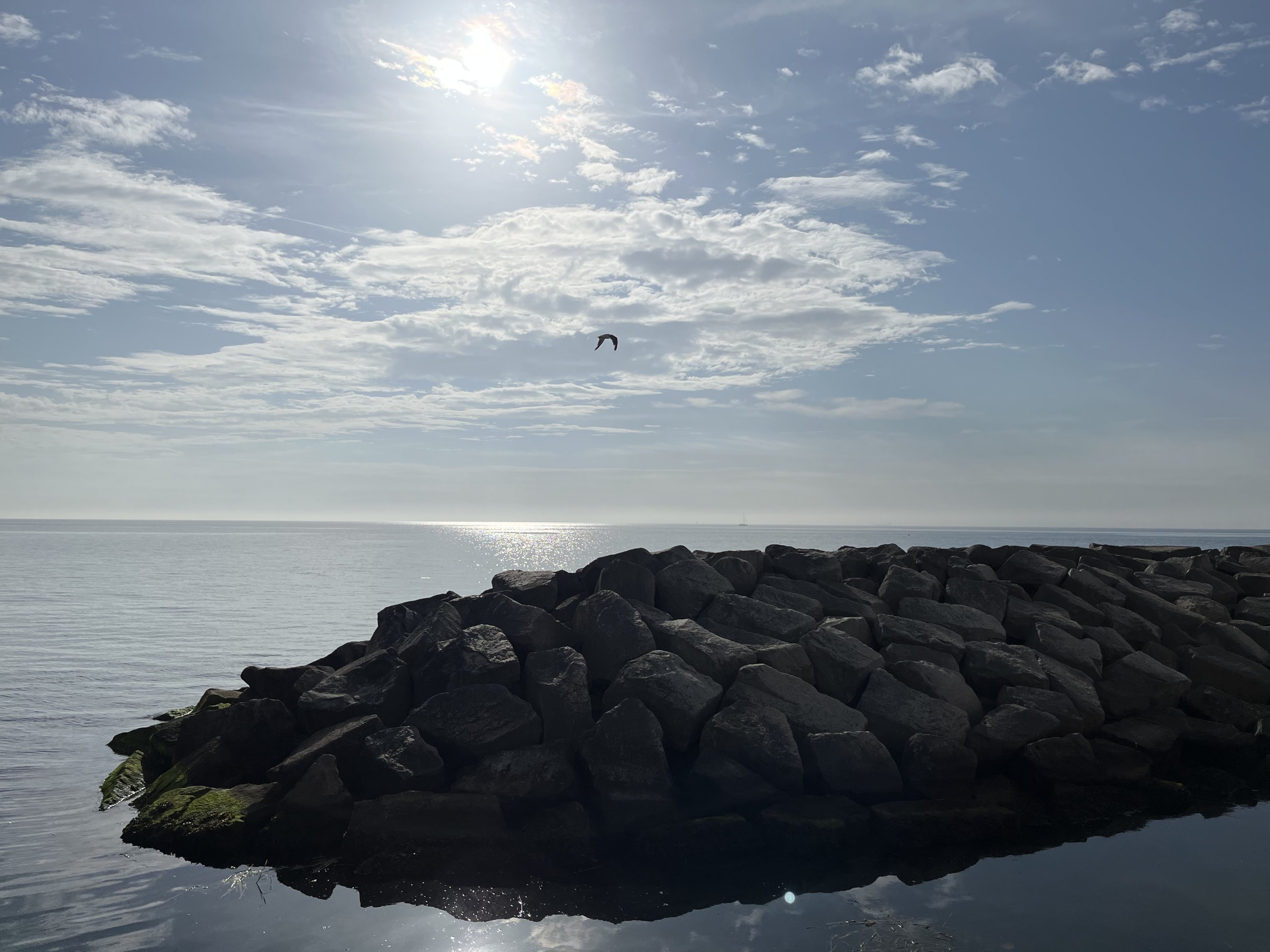 Kattegat Sea (adjacent to aquarium)