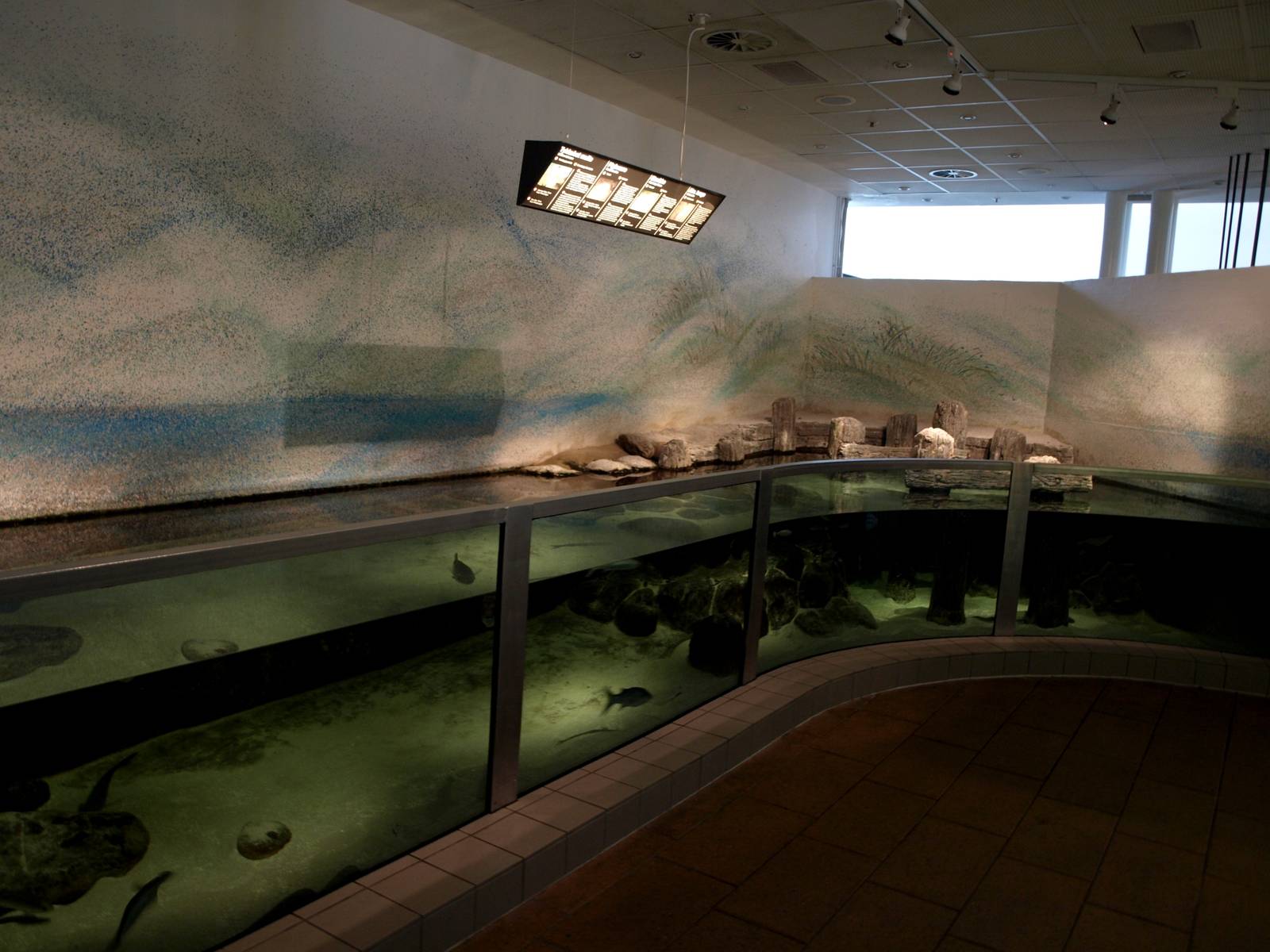 Kattegatcenter -Beach