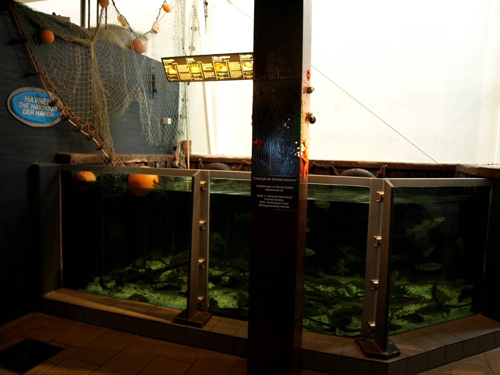 Kattegatcenter - Harbour