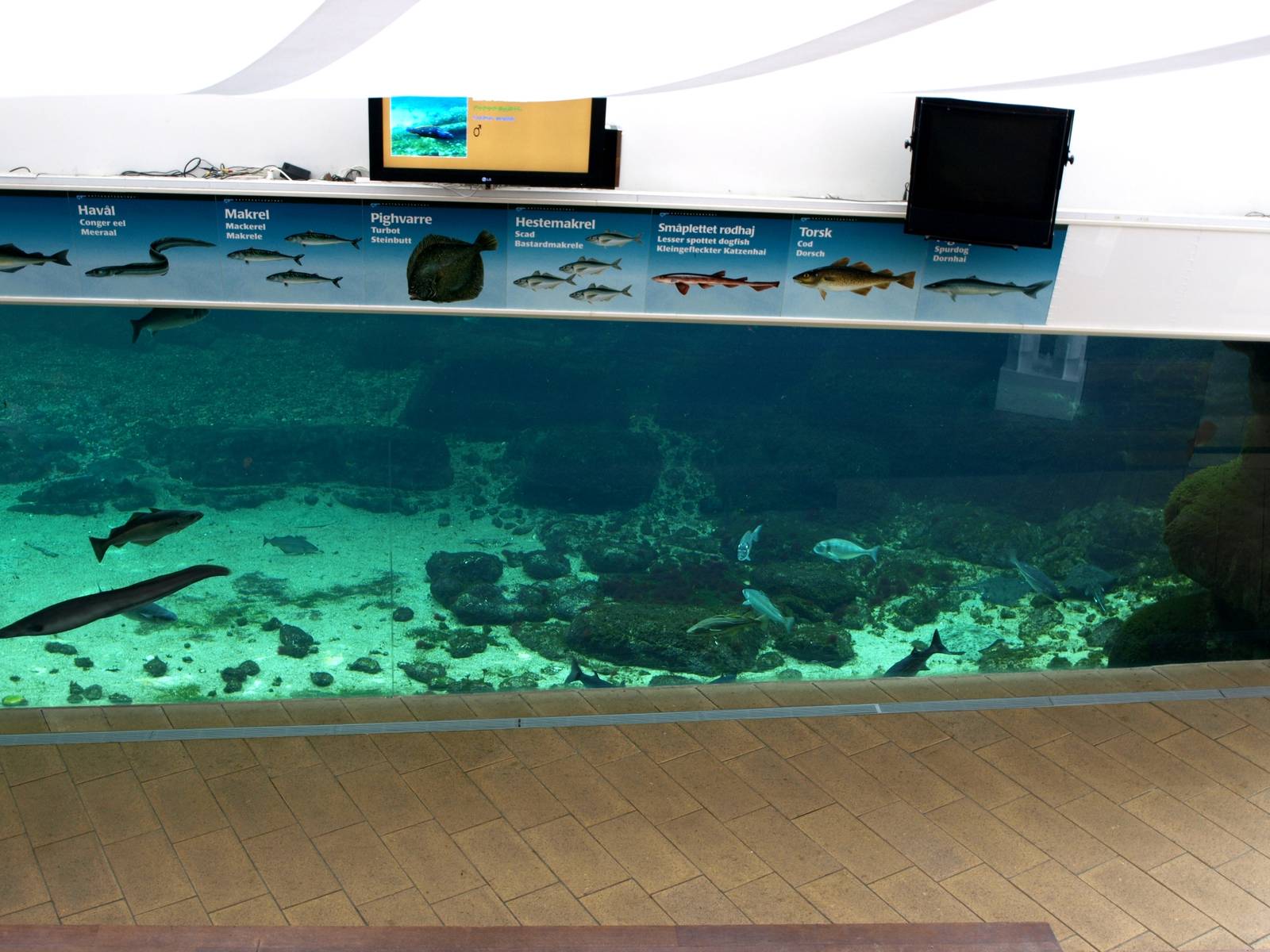 Kattegatcenter - Oceanium