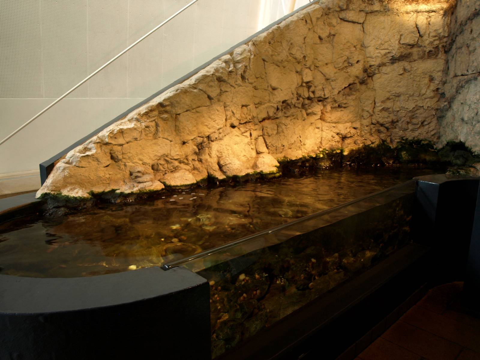 Kattegatcenter - Rocky shore