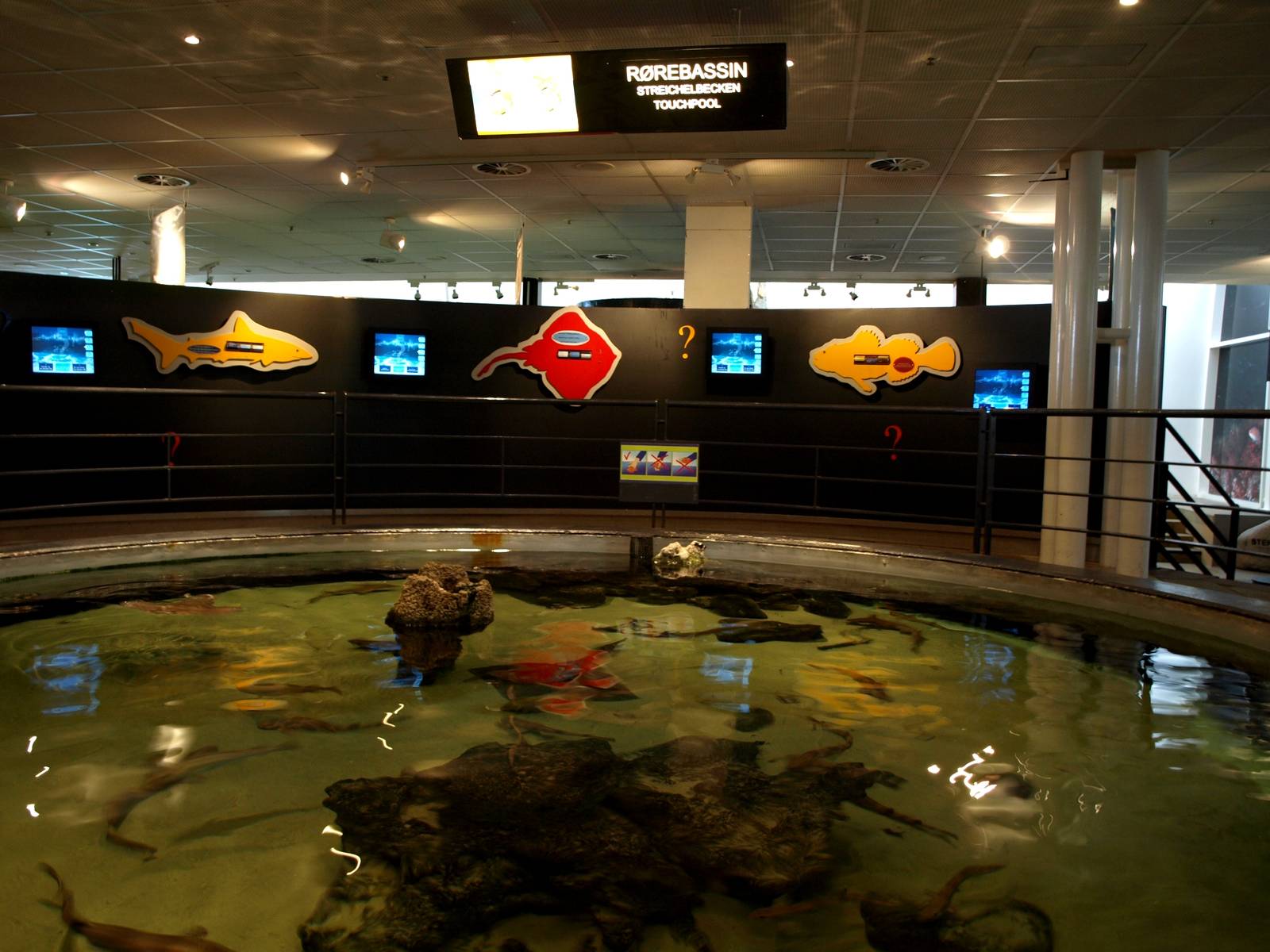 Kattegatcenter - Touch pool