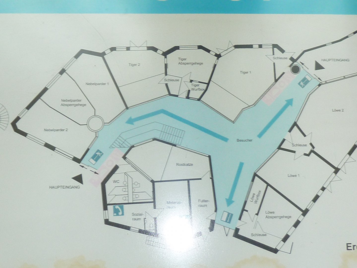Katzendschungel floor plan