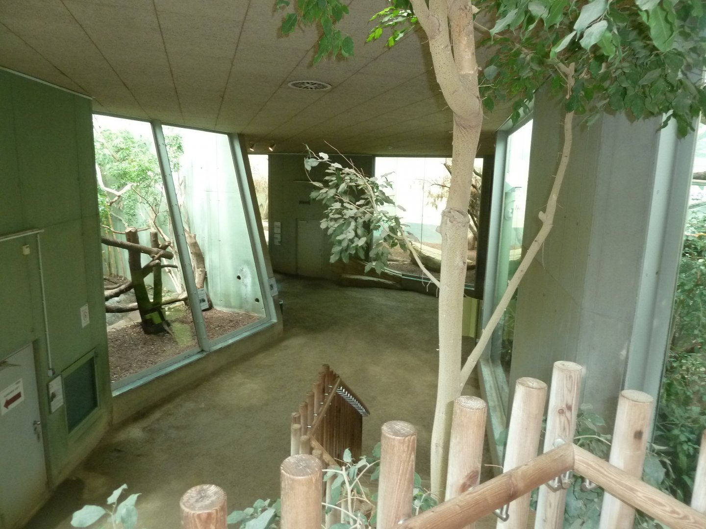 Katzendschungel - View from first floor