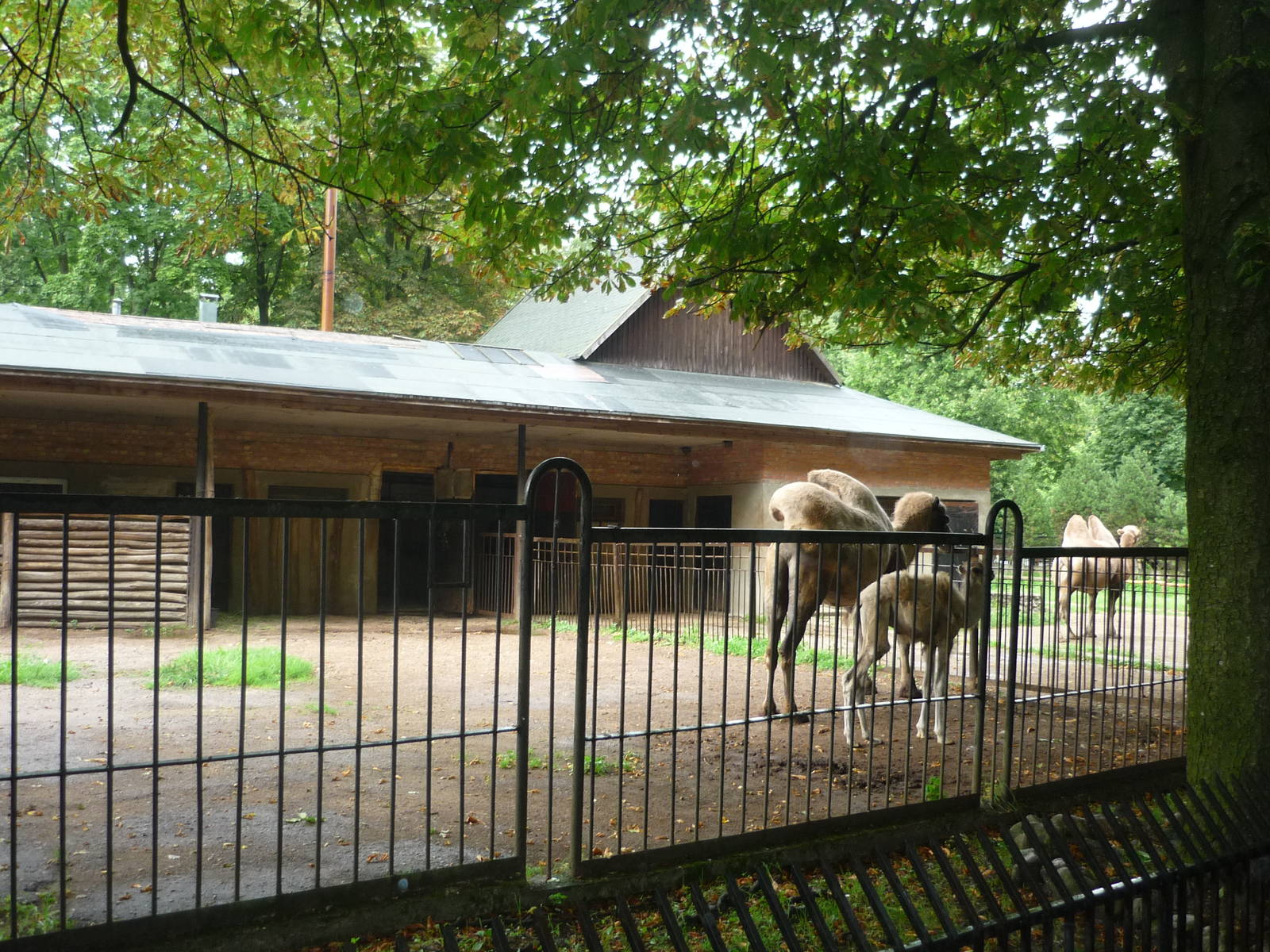 Kaunas Zoo