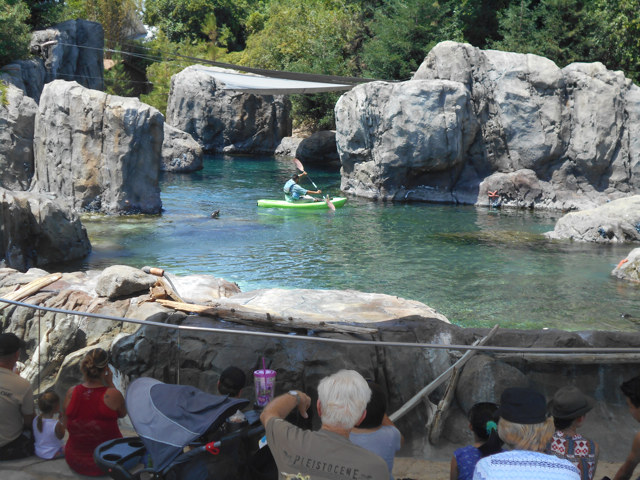 kayaking_keeper_sea_lions_Fresno