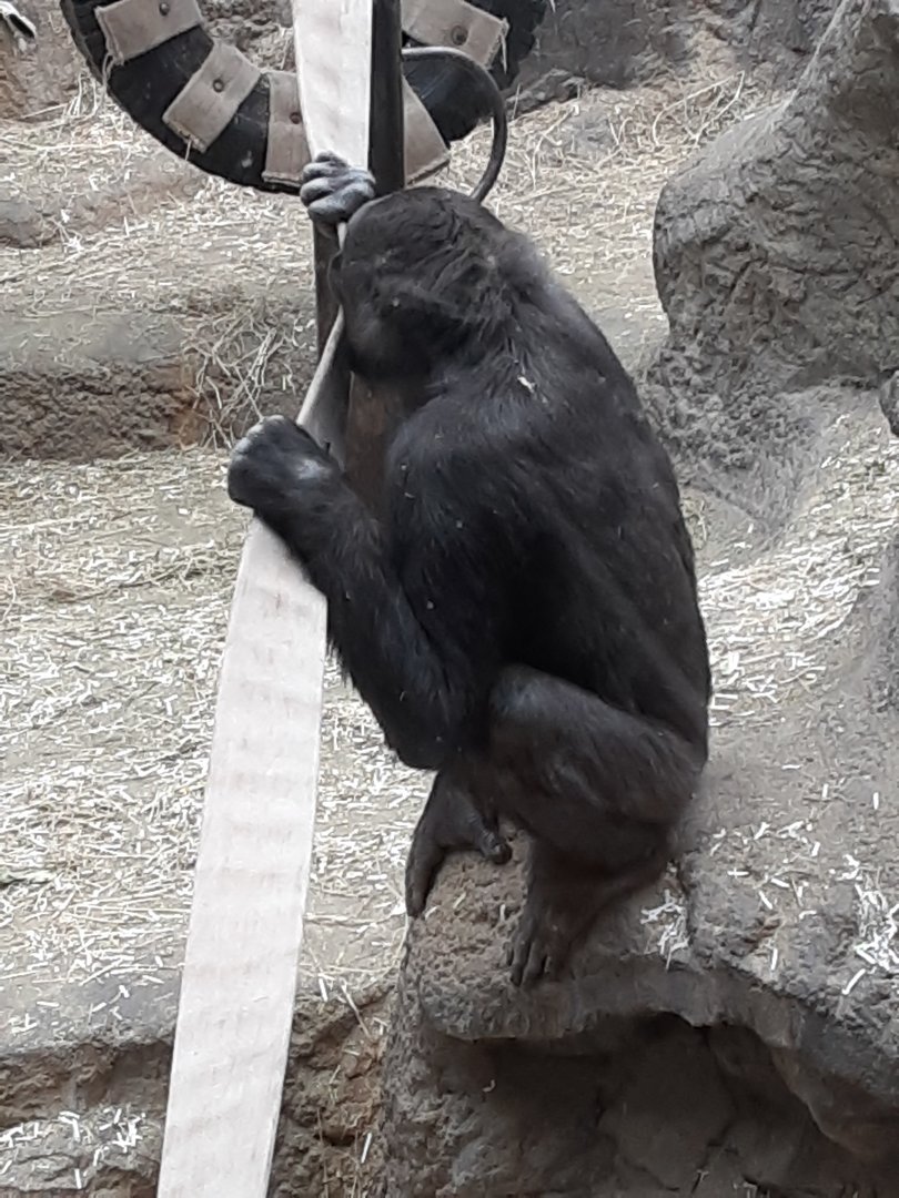 Kayin Eating a Firehose