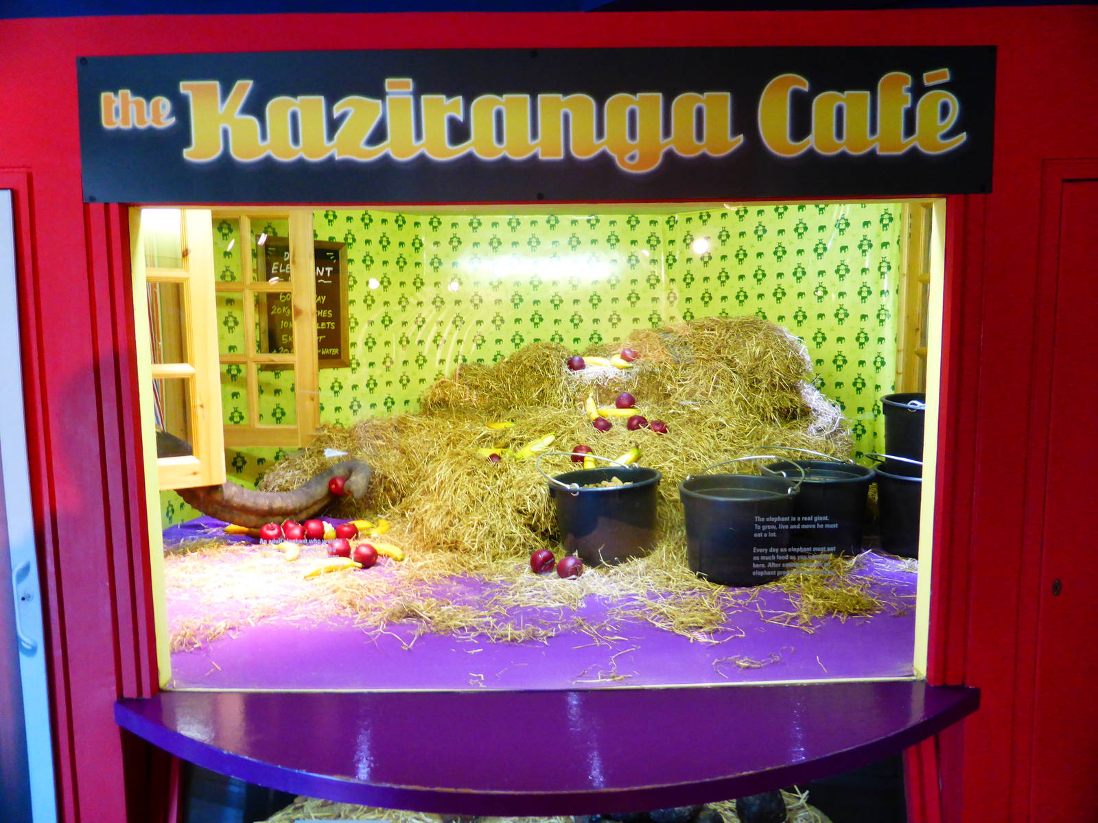 Kaziranga Cafe