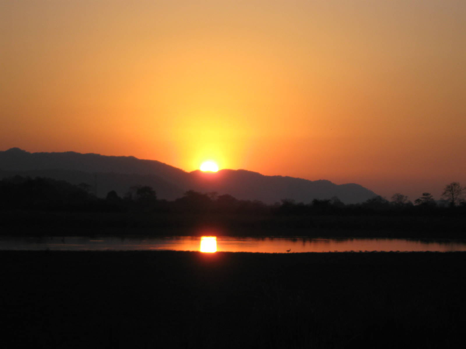 Kaziranga National Park, Assam