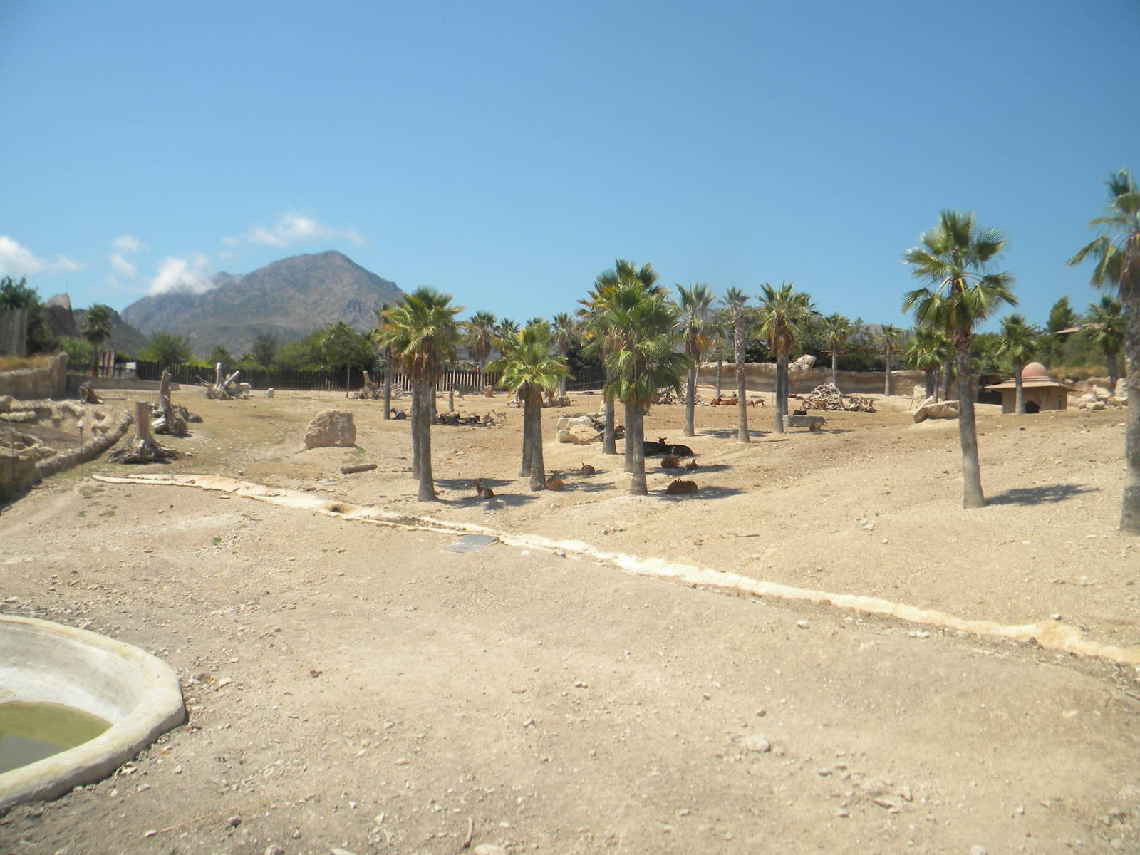 Kaziranga reserve at Terra Natura 29/07/11