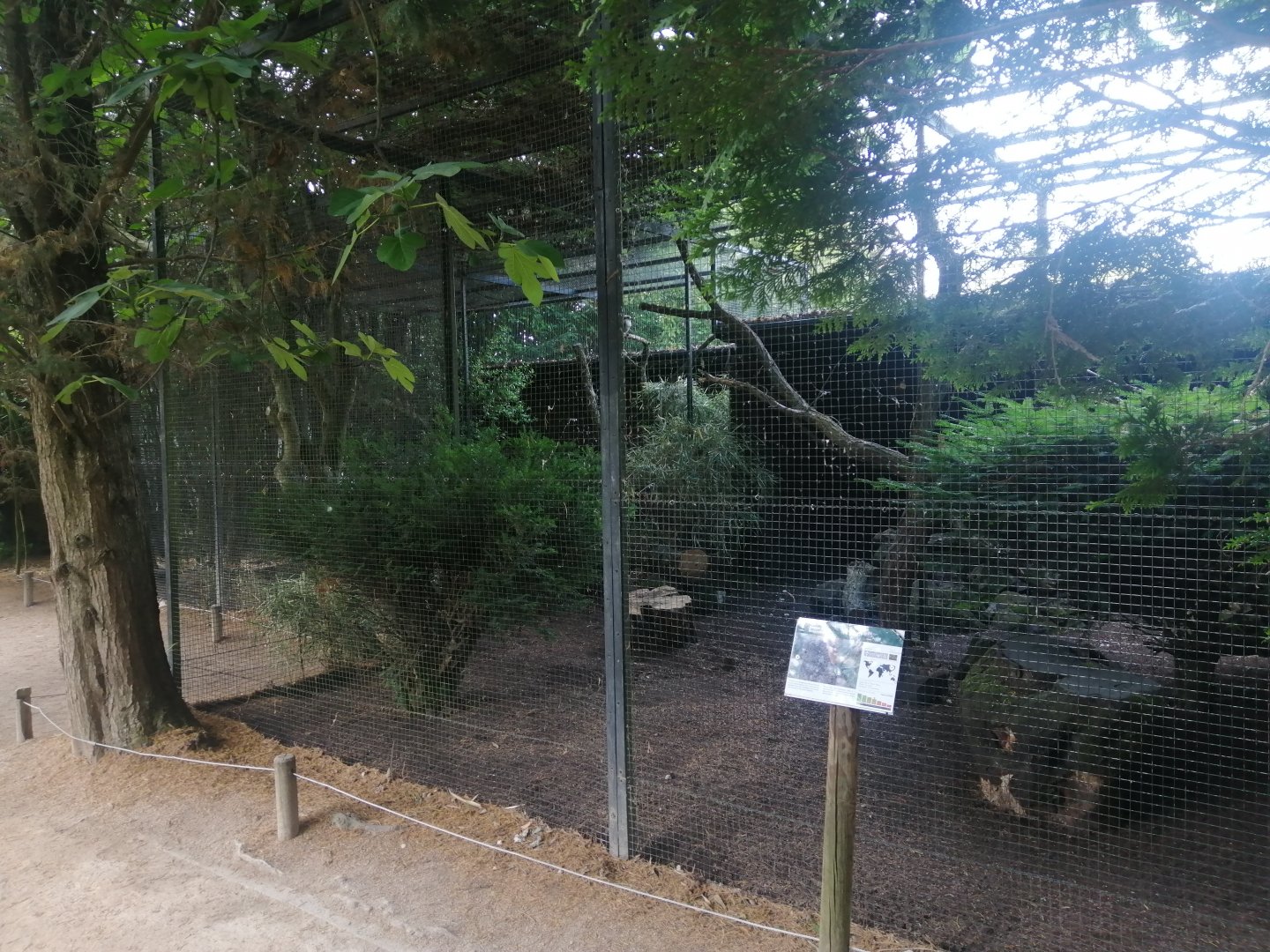 Kea and Laughing Kookaburra Aviary