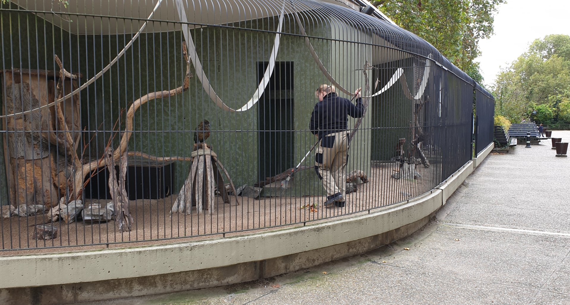Kea and owl aviaries