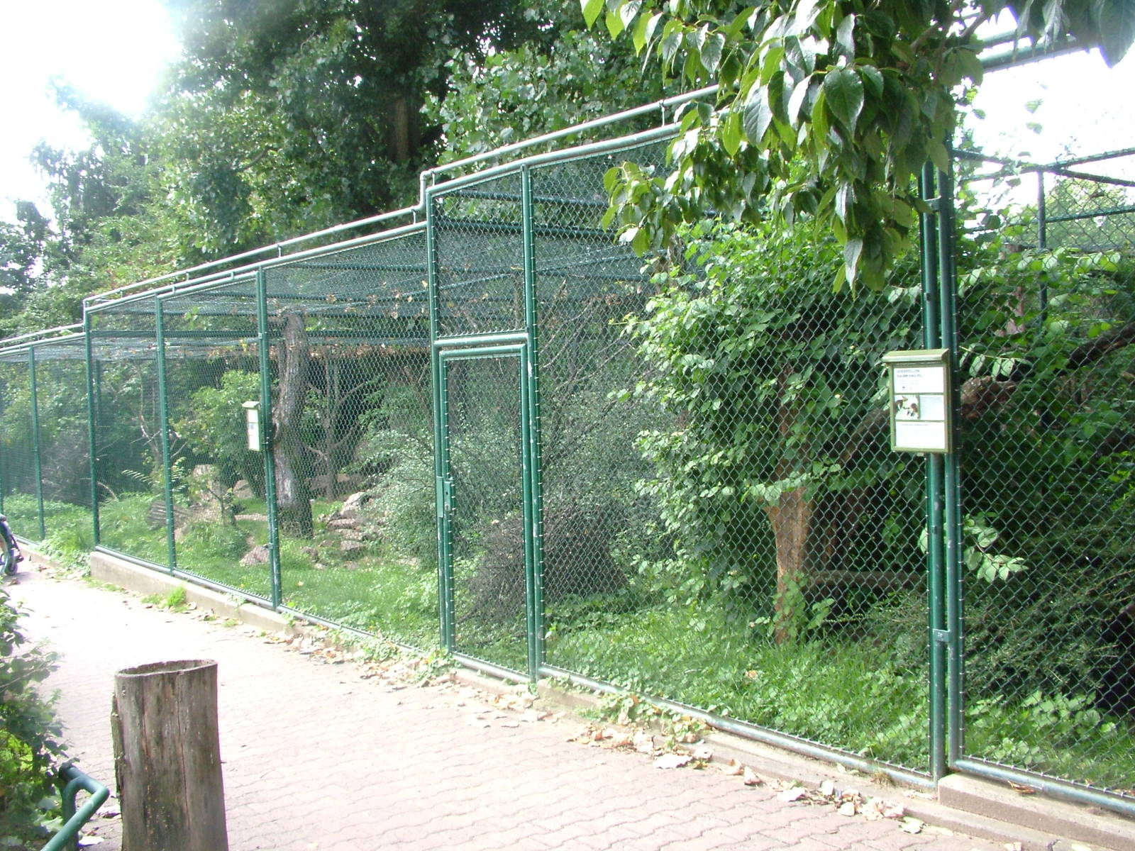 Kea and Tree Kangaroo Exhibits at Frankfurt 31/08/10