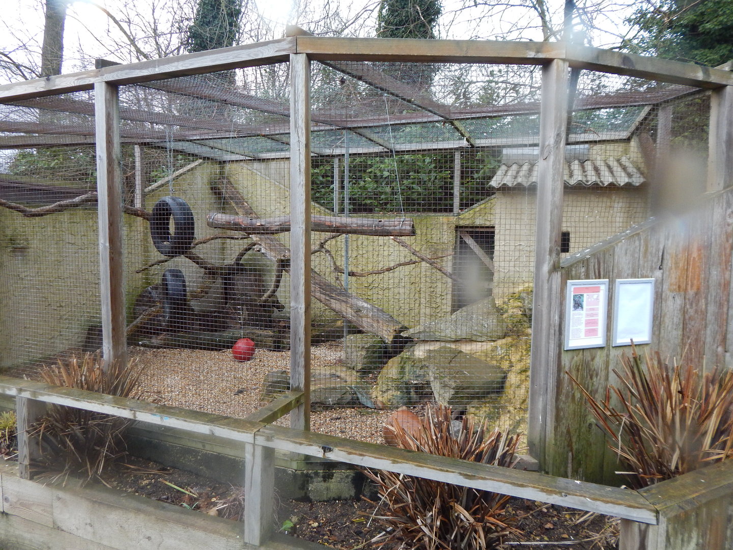 Kea aviary 010323