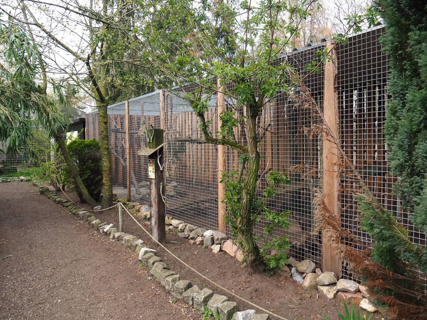 Kea aviary, 2019-04-06