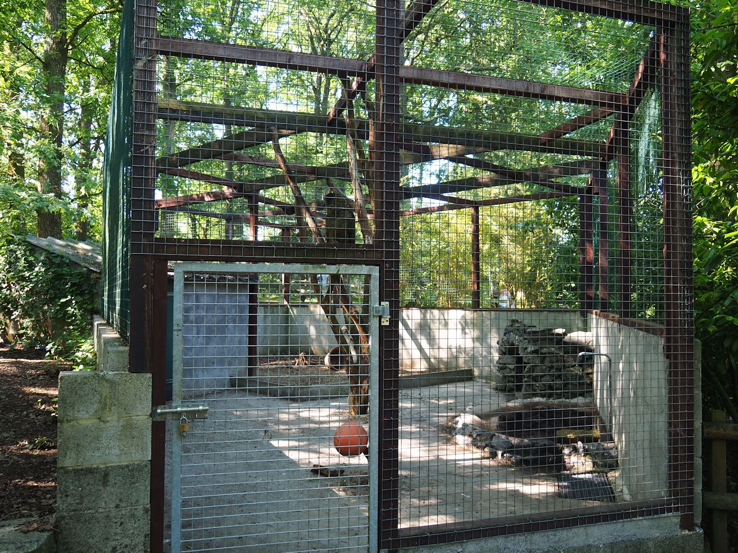 Kea aviary, 2023-06-24