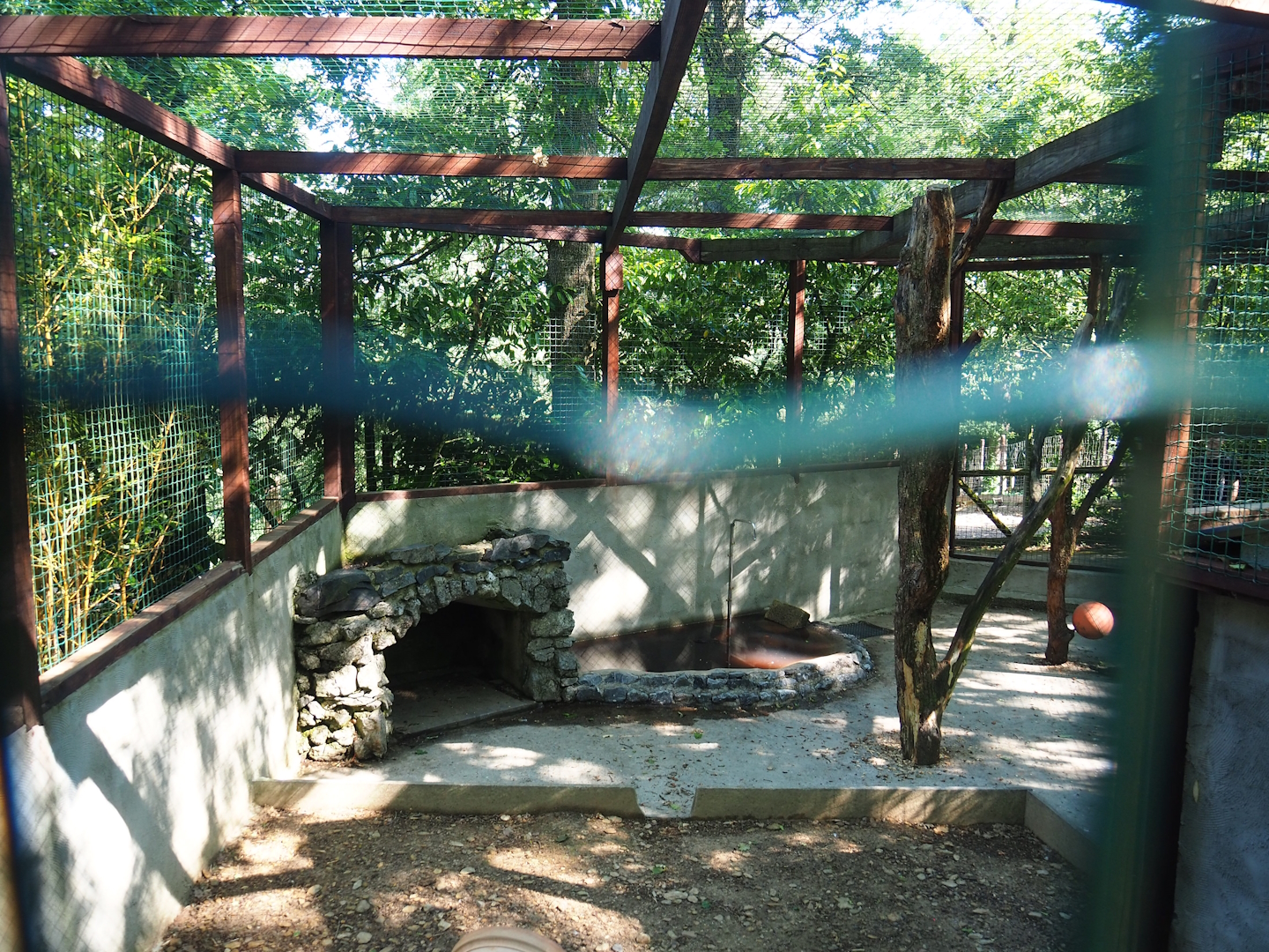 Kea aviary, 2023-06-24