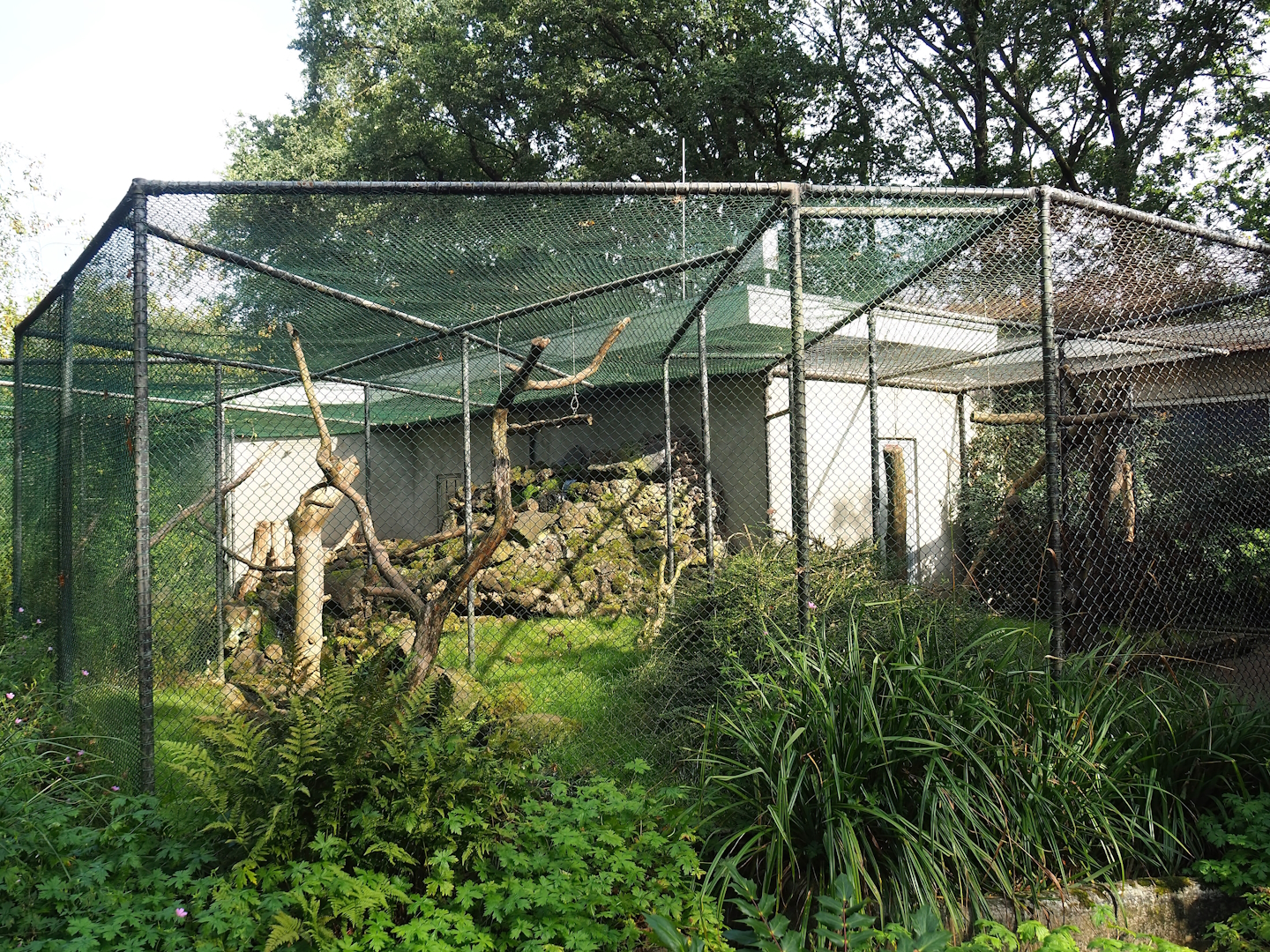 Kea aviary, 2023-10-07