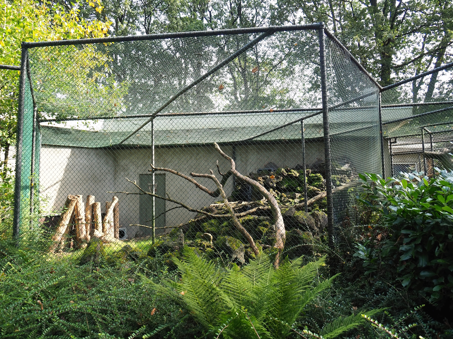 Kea aviary, 2023-10-07