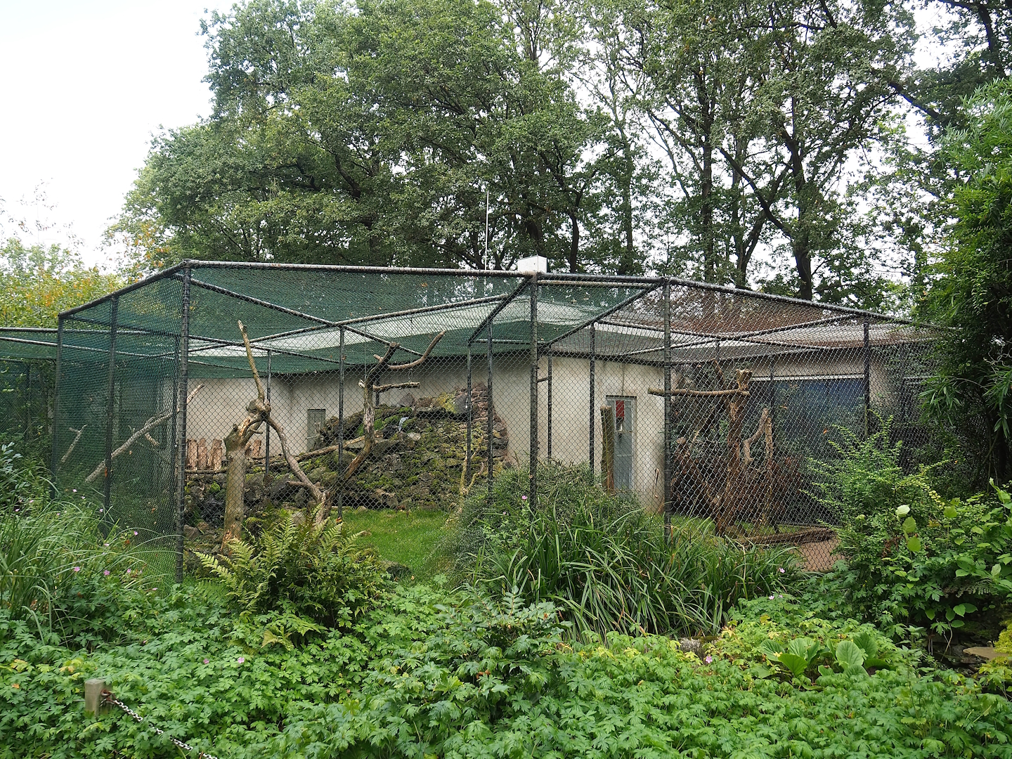 Kea aviary, 2023-10-07