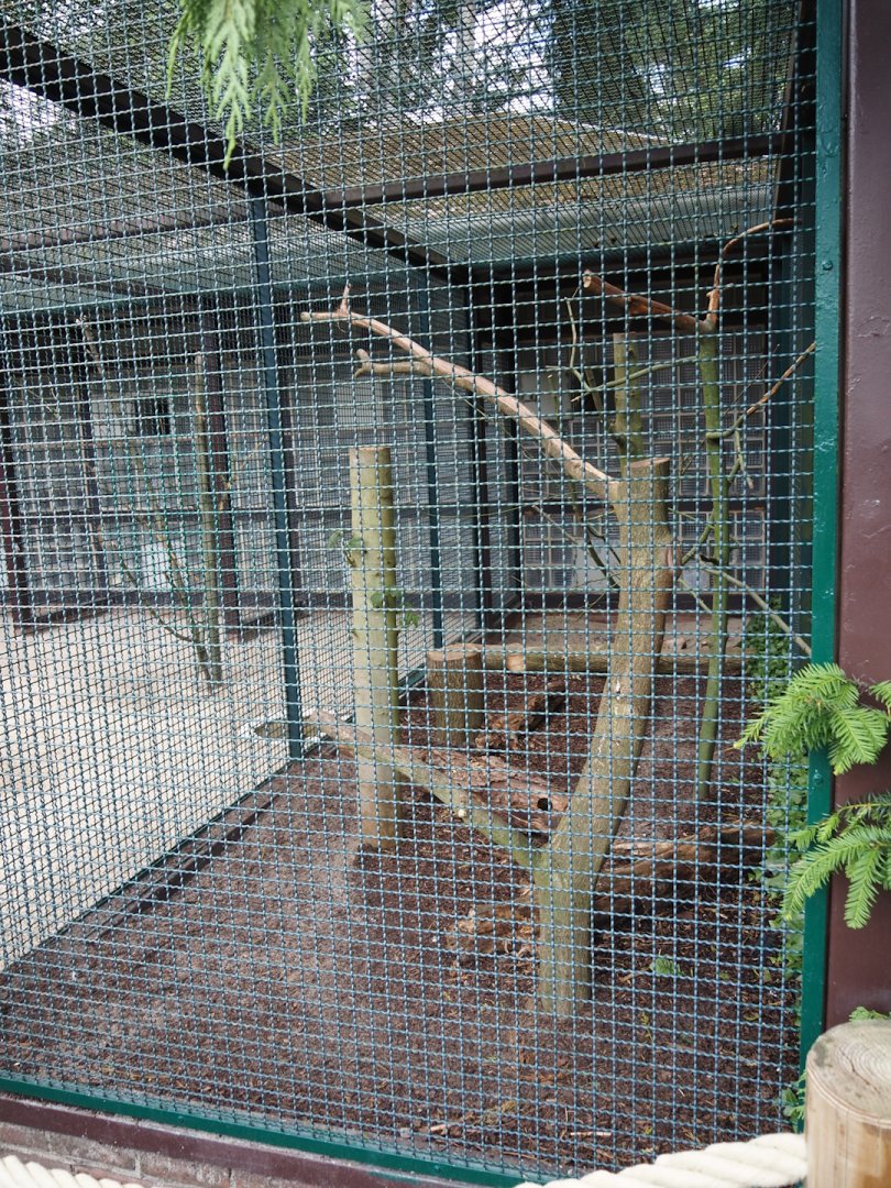 Kea aviary, 2024-05-23